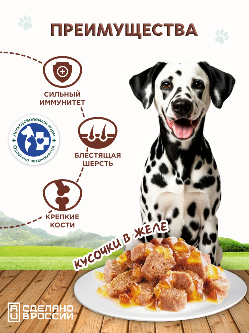 Chester влажный корм для взрослых собак всех пород с ягненком, языком и шпинатом, кусочки в желе, в консервах - 850 г х 6 шт