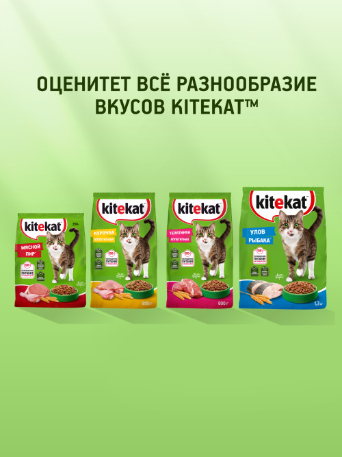 Kitekat сухой корм для взрослых кошек с аппетитной курочкой - 800 г
