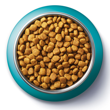 Purina One сухой корм для взрослых кошек с чувствительным пищеварением с индейкой и рисом - 750 г