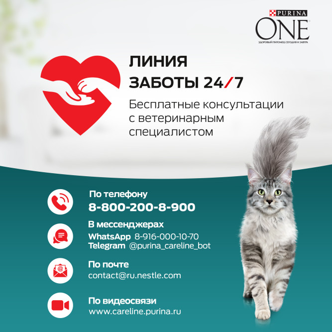 Purina One сухой корм для взрослых кошек с чувствительным пищеварением с индейкой и рисом - 750 г