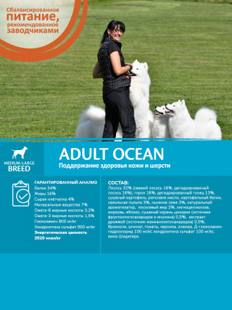 Wellness Core сухой корм для взрослых собак средних и крупных пород с лососем и тунцом - 1,8 кг