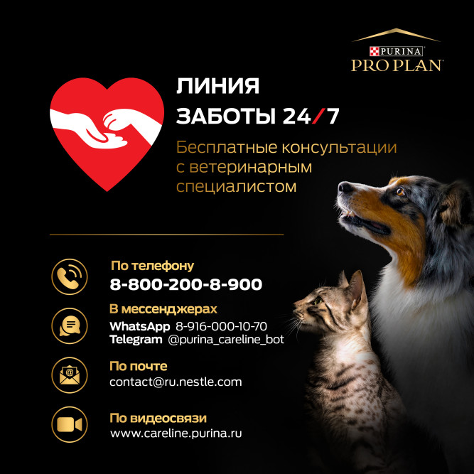 Pro Plan Sensitive Digestion сухой корм для щенков средних пород с чувствительным пищеварением, с ягненком - 12 кг