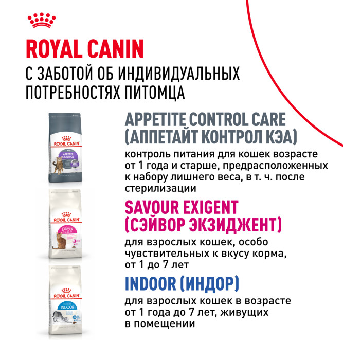 Royal Canin SPECIAL Sensible 33 для кошек с чувствительной пищеварительной системой - 4 кг