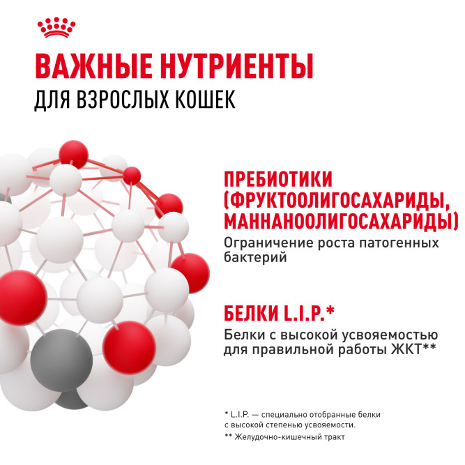 Royal Canin FCN Digestive Care сухой корм для взрослых кошек старше 1 года с чувствительным пищеварением - 10 кг