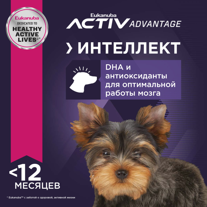 Сухой корм Eukanuba Puppy Toy Breed для щенков миниатюрных пород - 500 г