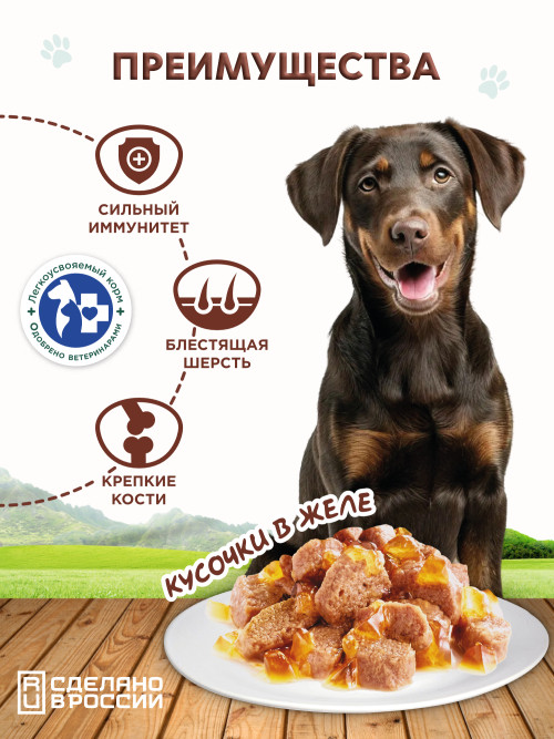 Chester влажный корм для взрослых собак всех пород с говядиной и овощами, кусочки в желе, в консервах - 850 г х 6 шт