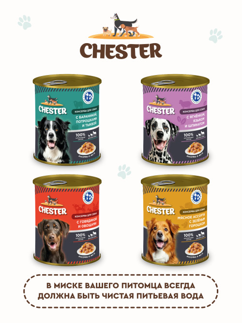 Chester влажный корм для взрослых собак всех пород с говядиной и овощами, кусочки в желе, в консервах - 850 г х 6 шт