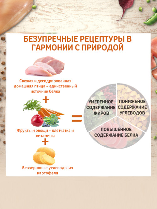 Wellness Core сухой корм для котят с индейкой 300 г