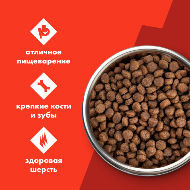 Ultra полнорационный сухой корм для взроcлых собак всех пород, с говядиной - 12 кг