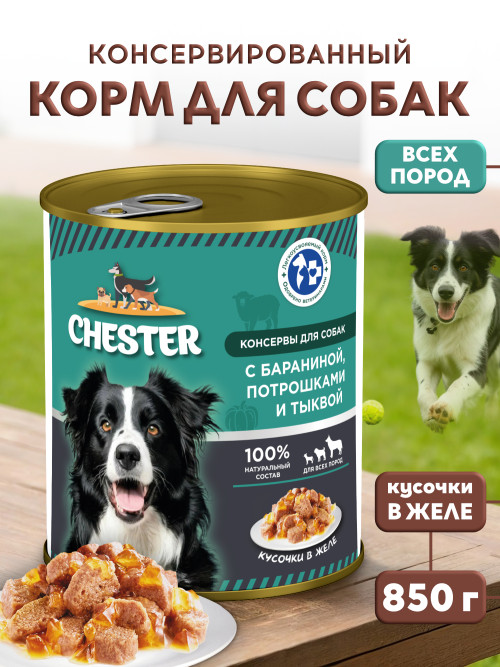Chester влажный корм для взрослых собак всех пород с бараниной, потрошками и тыквой, кусочки в желе, в консервах - 850 г х 6 шт