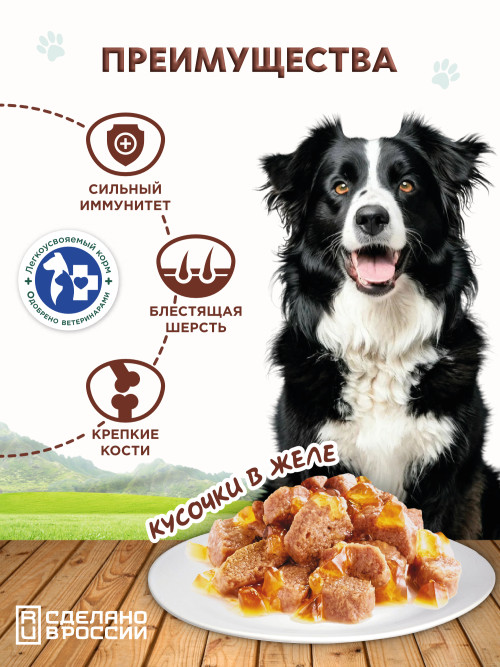 Chester влажный корм для взрослых собак всех пород с бараниной, потрошками и тыквой, кусочки в желе, в консервах - 850 г х 6 шт