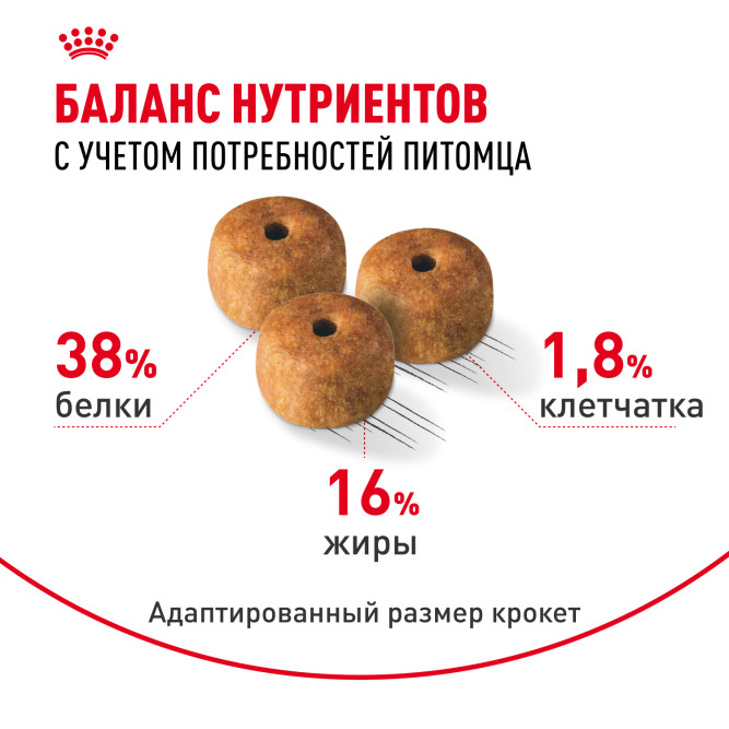 Royal Canin Siamese сухой корм для взрослых сиамских кошек - 400 г