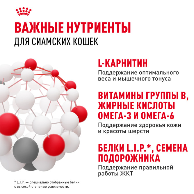 Royal Canin Siamese сухой корм для взрослых сиамских кошек - 400 г