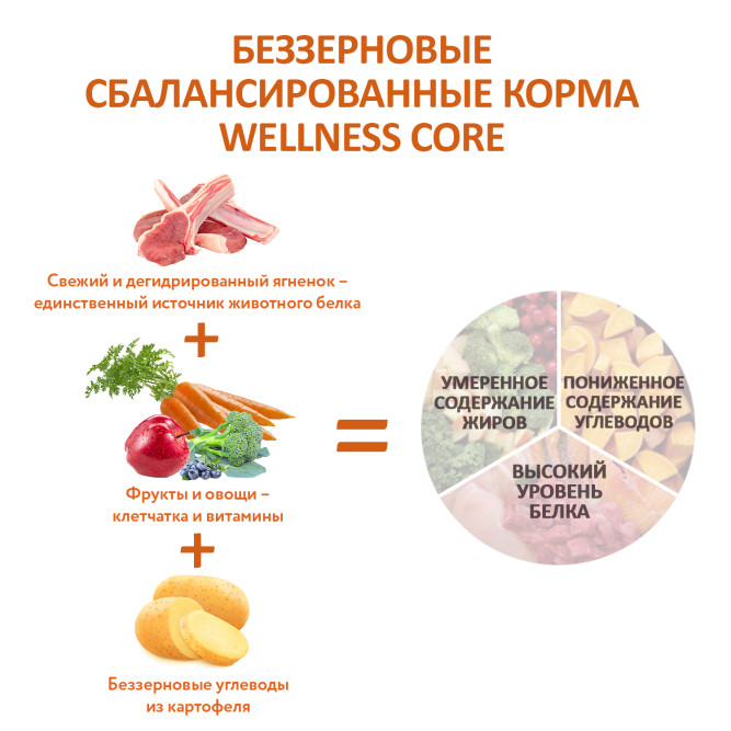 Wellness Core сухой корм для взрослых собак всех пород с ягненком и яблоком 1,8 кг