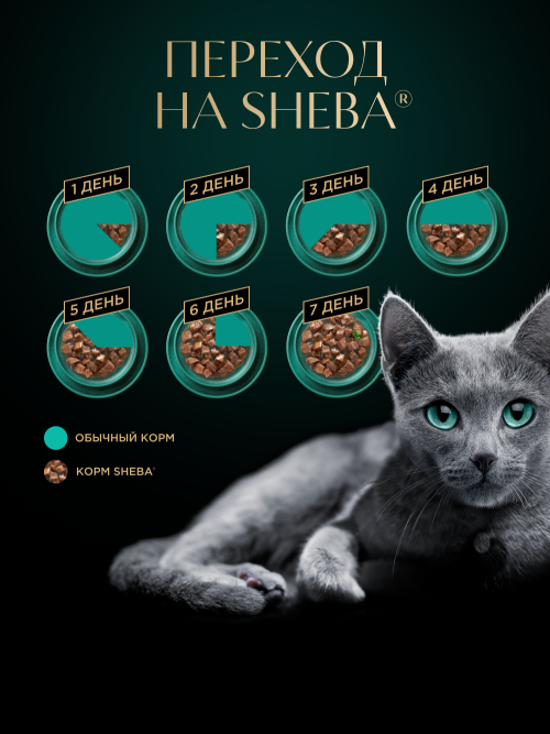 Sheba Craft Collection влажный корм для кошек рубленые кусочки с говядиной, в соусе, в паучах - 75 г х 28 шт