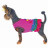 Happy Puppy платье Лола для собак, размер M