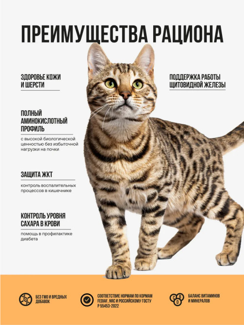 BOWL WOW сухой корм для взрослых кошек с чувствительным пищеварением с индейкой, курицей и тыквой - 4 кг