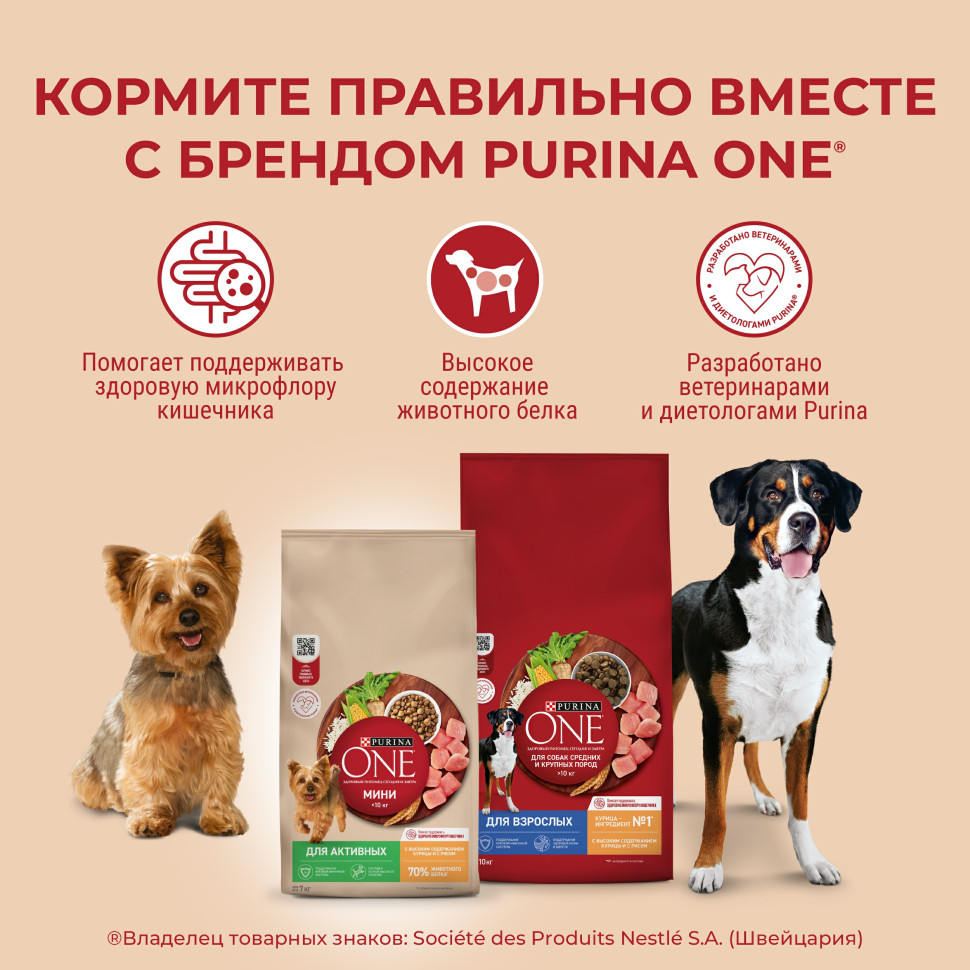 Purina One Мини сухой корм для активных взрослых собак мелких пород, с  высоким содержанием курицы и рисом - 3 кг - купить в Москве | КотМатрос