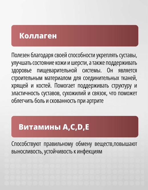 PetActive витаминно - минеральный комплекс "Коллаген" для взрослых кошек и собак всех пород - 100 таблеток