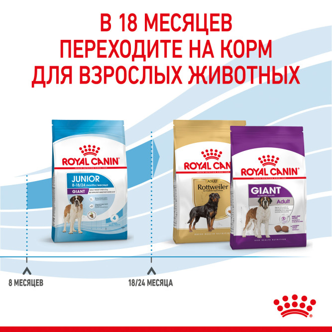 Royal Canin Giant Junior сухой корм для молодых собак гигантских пород с курицей - 15 кг