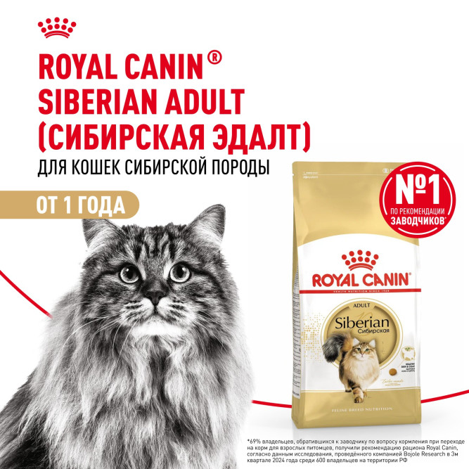 Royal Canin Siberian Adult сухой корм для взрослых кошек сибирской породы - 2 кг