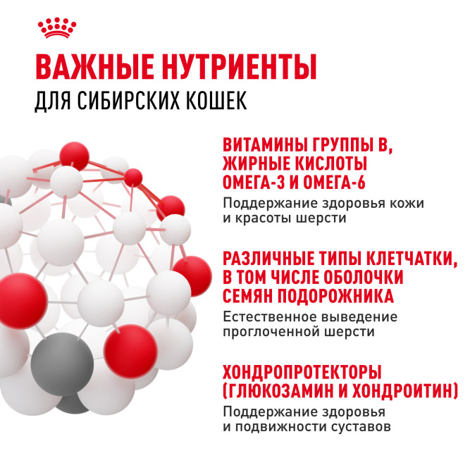 Royal Canin Siberian Adult сухой корм для взрослых кошек сибирской породы - 2 кг