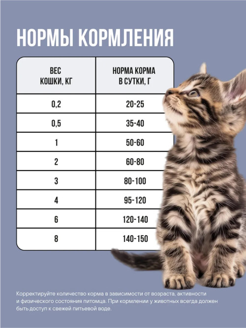 BOWL WOW сухой корм для котят с индейкой, курицей и черникой - 400 г