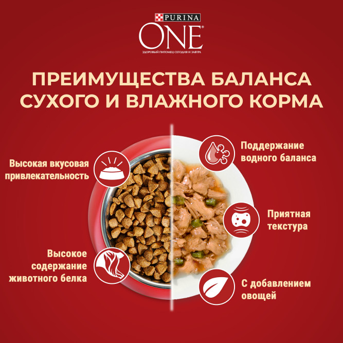 Purina One Мини сухой корм для взрослых собак мелких пород, с высоким содержанием говядины и рисом - 3 кг