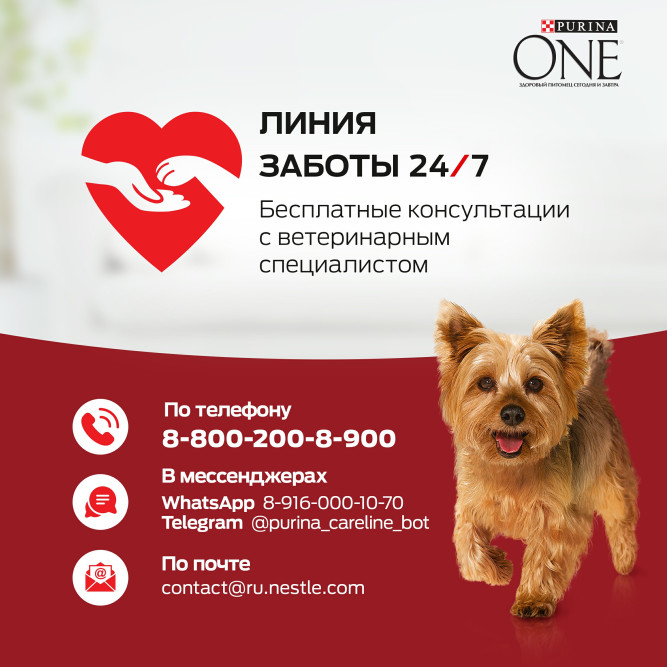 Purina One Мини сухой корм для взрослых собак мелких пород, с высоким содержанием говядины и рисом - 3 кг