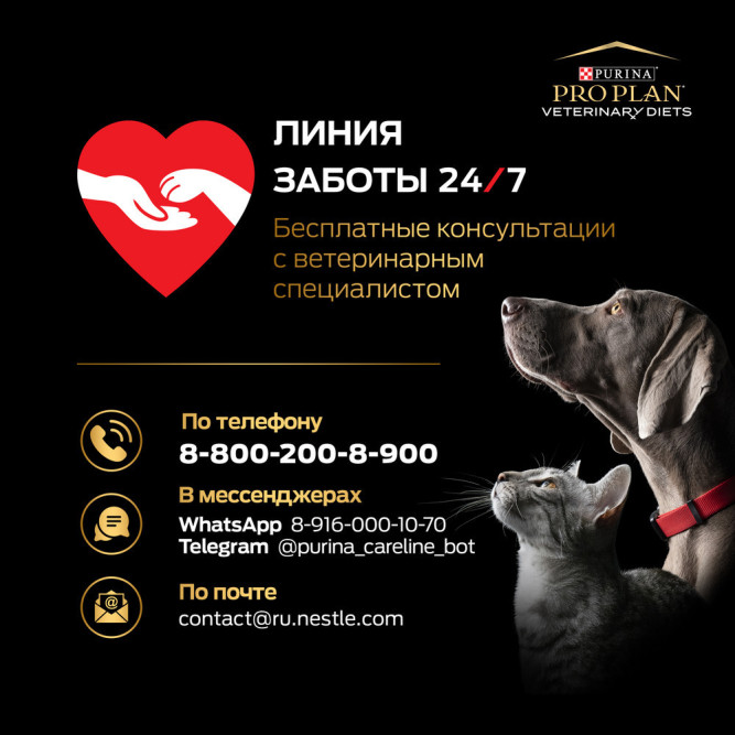 Purina Pro Plan Veterinary Diets DM St/Ox Diabetes Management влажный корм для взрослых кошек при диабете с говядиной в соусе, в паучах - 85 г х 10 шт