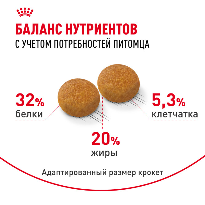 Royal Canin Siberian Adult для взрослых кошек сибирской породы - 400 г