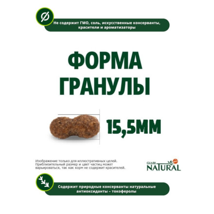 Guabi Natural Dog Adult сухой корм для взрослых собак мелких пород, с лососем и ячменем - 1 кг