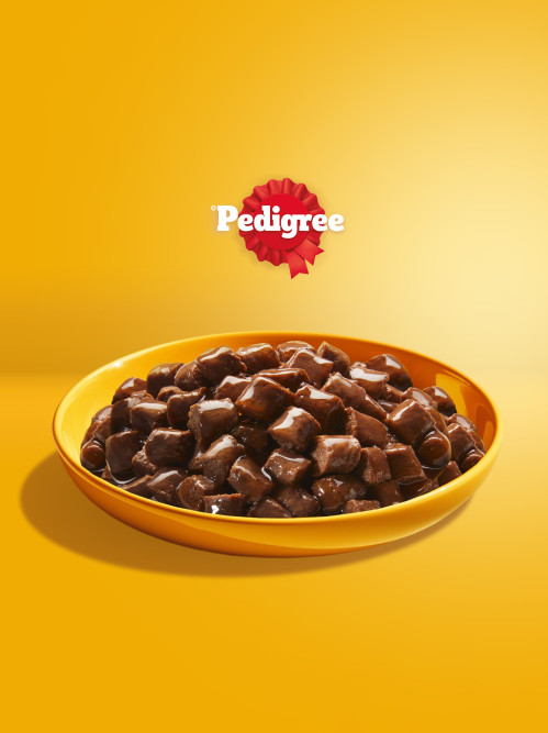 Pedigree влажный корм для взрослых собак с говядиной, в паучах - 85 г х 28 шт