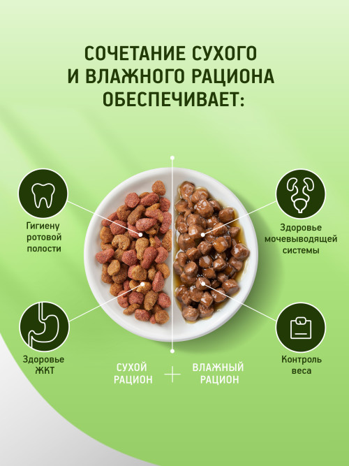 Kitekat Мясной Пир сухой корм для взрослых кошек с говядиной - 800 г