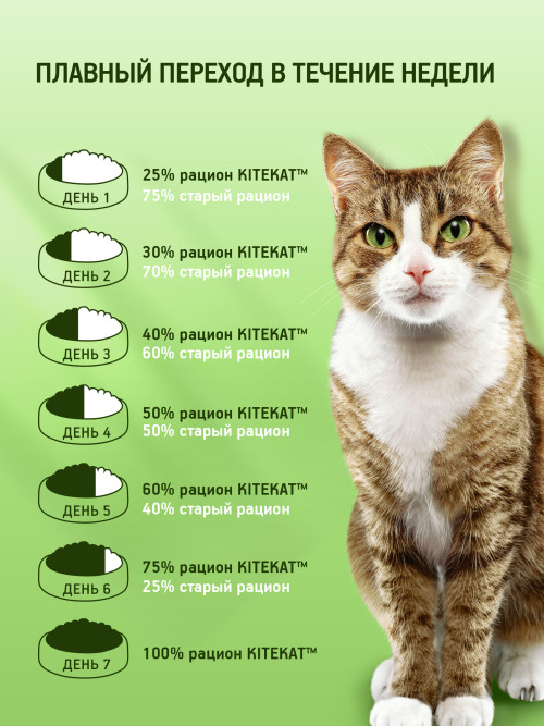 Kitekat Мясной Пир сухой корм для взрослых кошек с говядиной - 800 г