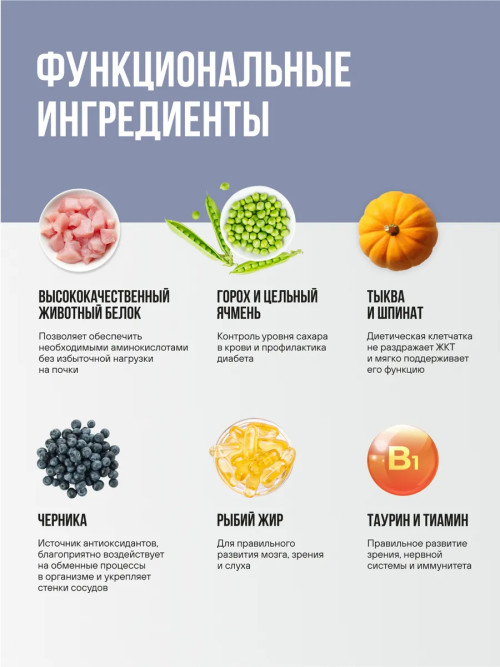 BOWL WOW сухой корм для котят с индейкой, курицей и черникой - 1,5 кг