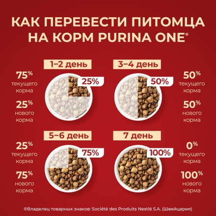 Purina One Мини сухой корм для активных взрослых собак мелких пород, с высоким содержанием курицы и рисом - 7 кг