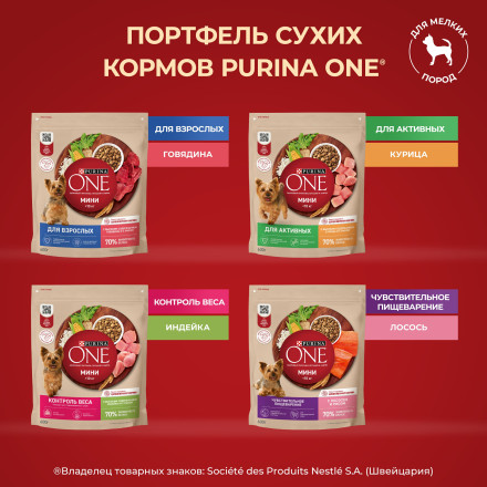 Purina One Мини сухой корм для активных взрослых собак мелких пород, с высоким содержанием курицы и рисом - 7 кг