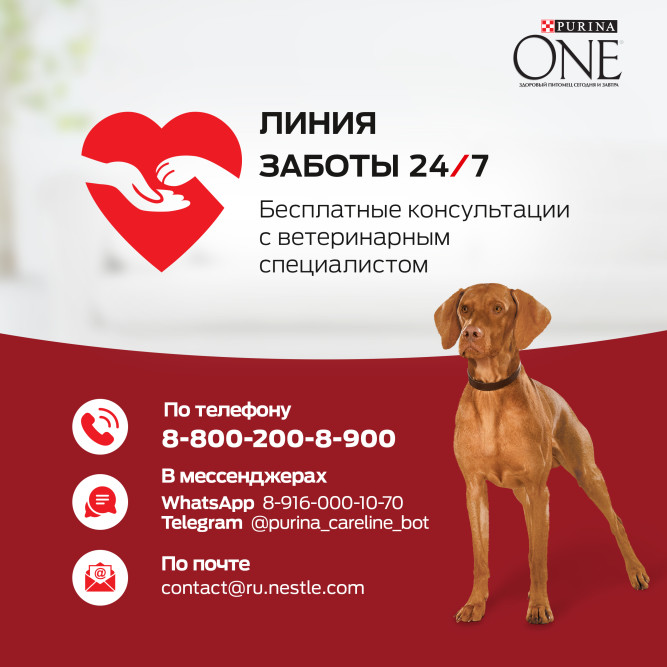 Purina ONE сухой корм для собак средних и крупных пород с ягненком и рисом - 3,8 кг