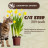 Cat Step Tofu Vanilla наполнитель растительный комкующийся с ароматом ванили - 6 л