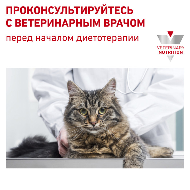 Royal Canin Renal Feline Chicken для кошек с почечной недостаточностью с курицей - 85 г