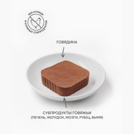 FINT влажный корм для взрослых собак мелких и средних пород, суфле с говядиной, в ламистерах - 100 г х 15 шт