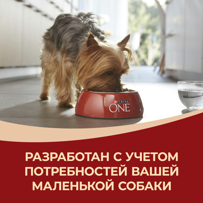 Purina One Мини сухой корм для взрослых собак мелких пород, с высоким содержанием говядины и рисом - 7 кг