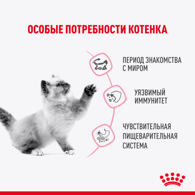 Royal Canin Kitten Sterilised влажный корм для котят в возрасте от 6 до 12 месяцев после стерилизации и кастрации, кусочки в желе, в паучах - 85 г х 28 шт