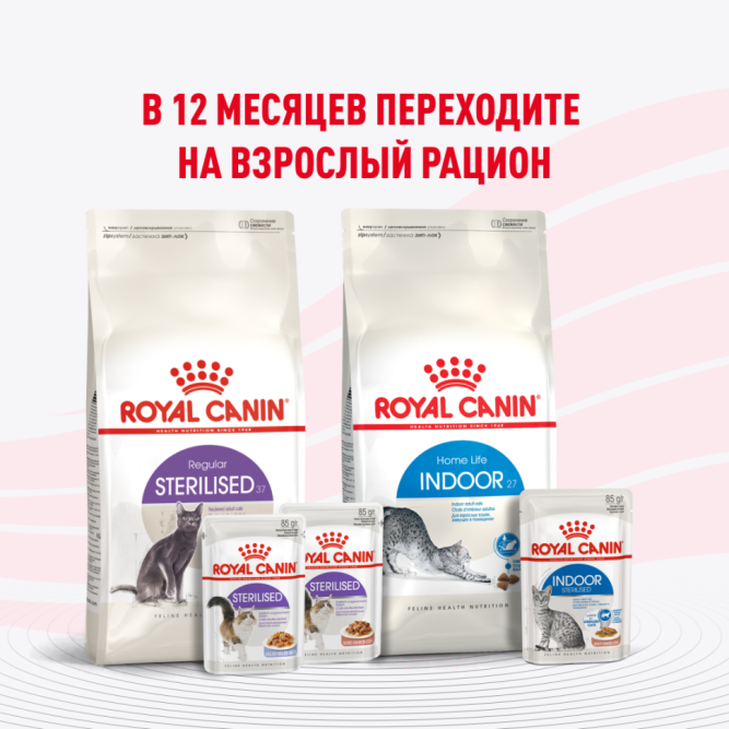 Royal Canin Kitten Sterilised влажный корм для котят в возрасте от 6 до 12 месяцев после стерилизации и кастрации, кусочки в желе, в паучах - 85 г х 28 шт