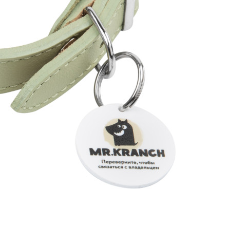 Mr.Kranch ошейник для собак, из натуральной кожи с QR-адресником, 22-26 см, нежно-зеленый
