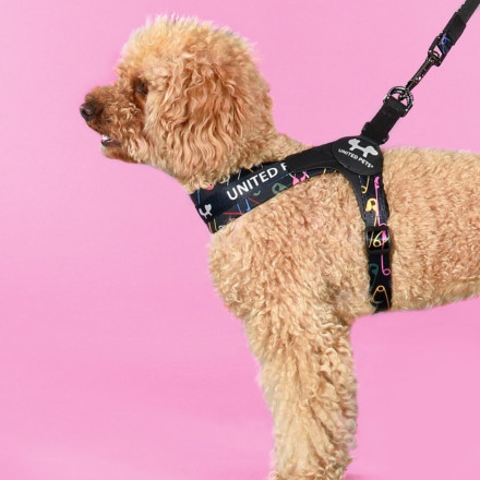 United Pets Complete me 2.5 - M шлейка для собак, 40-54 см, черная с разноцветными булавками