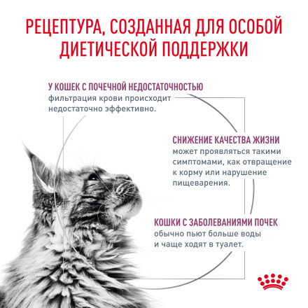 Royal Canin Renal для взрослых кошек с хронической почечной недостаточностью - 2 кг