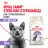 Royal Canin Sterilised 37 сухой корм для взрослых стерилизованных кошек - 10 кг