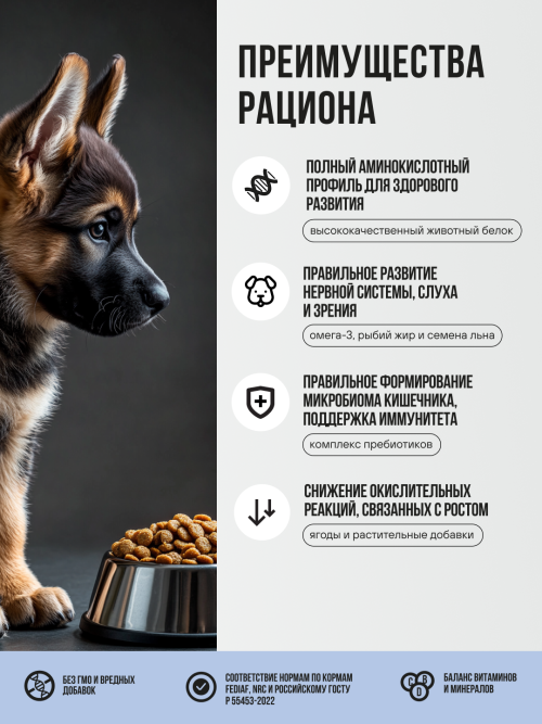 BOWL WOW сухой полнорационный корм для щенков крупных пород с индейкой, ягненком, рисом и добавлением черники - 5 кг